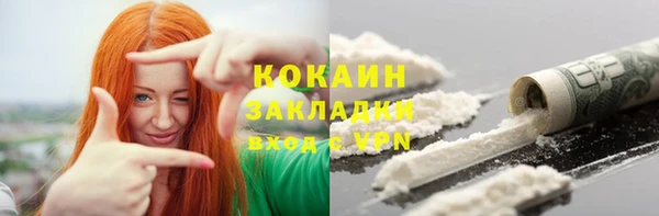 дурь Новодвинск