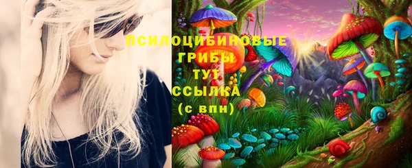скорость Новокубанск