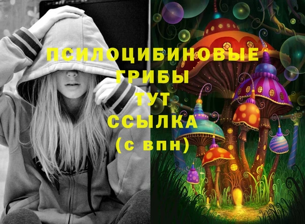 скорость Новокубанск