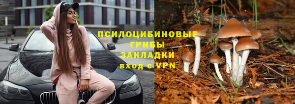 кокс Новозыбков