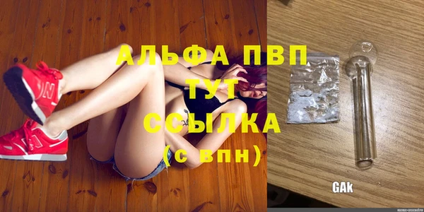 дурь Новодвинск