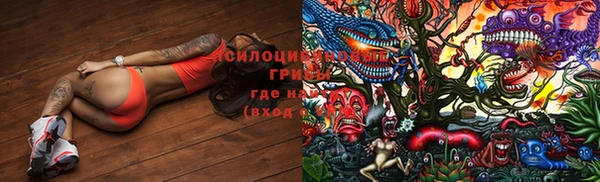 кокс Новозыбков