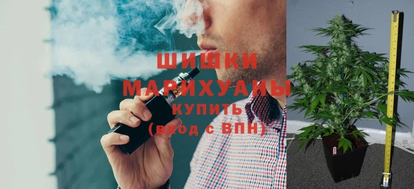 дурь Новодвинск
