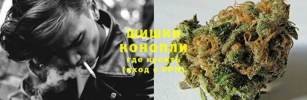 дурь Новодвинск