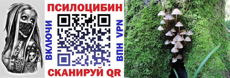 Псилоцибиновые грибы мицелий  дарк нет состав  Саянск 