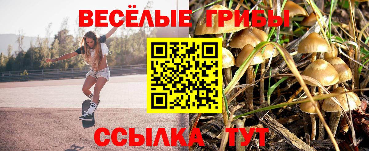 Псилоцибиновые грибы мухоморы  Вход с VPN  Саянск 