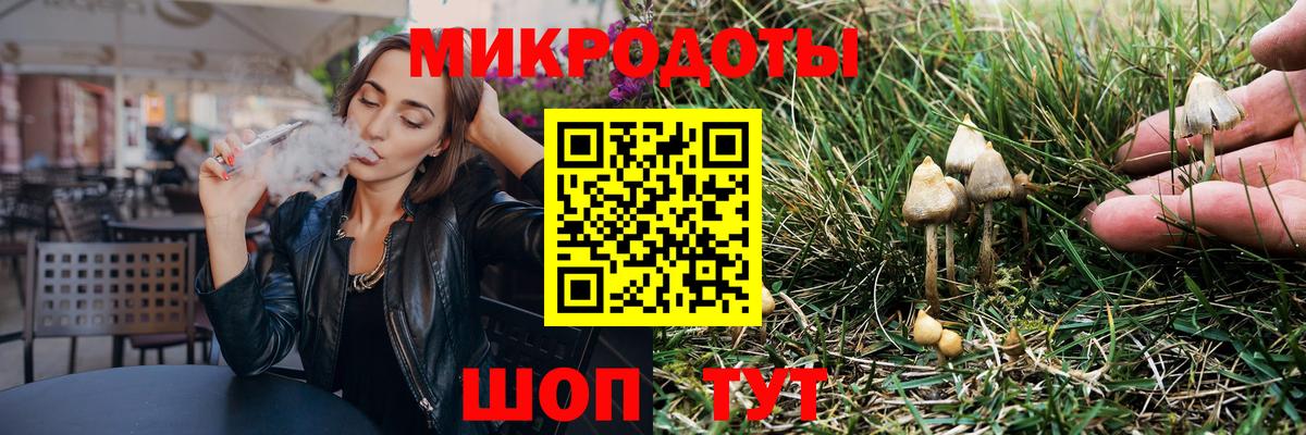 Галлюциногенные грибы Psilocybine cubensis Саянск